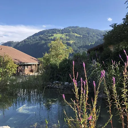 Strubeli By Interhome Sankt Stephan