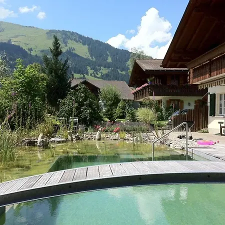 Daire Strubeli By Interhome Sankt Stephan